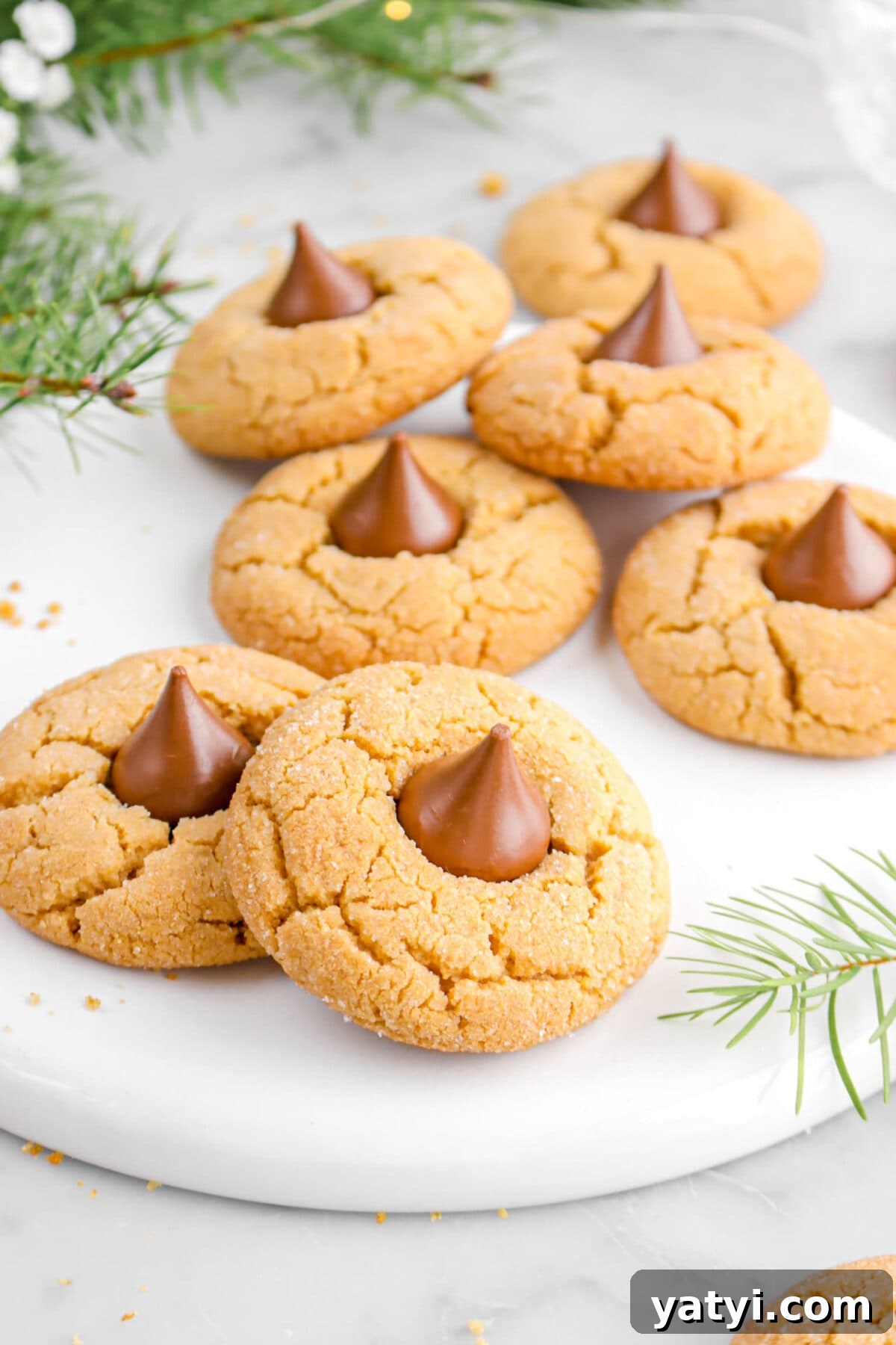 close up of six peanut butter blossoms on upside down white plate.