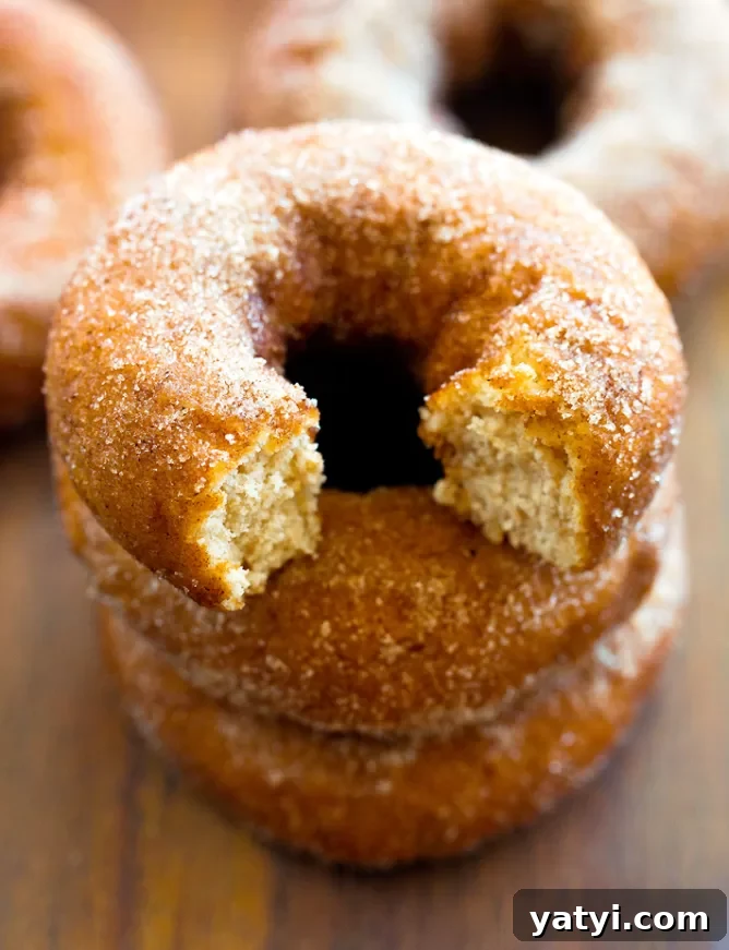 Decadent Chocolate Pumpkin Cake Recipe for Fall Desserts 4 Baked Apple Cider Donuts