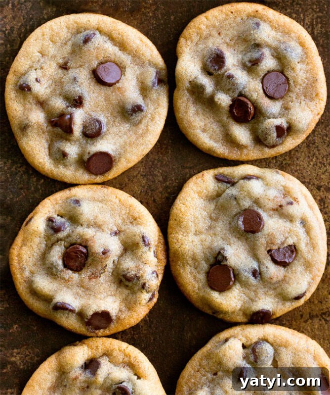 Decadent Chocolate Pumpkin Cake Recipe for Fall Desserts 5 Vegan Chocolate Chip Cookies