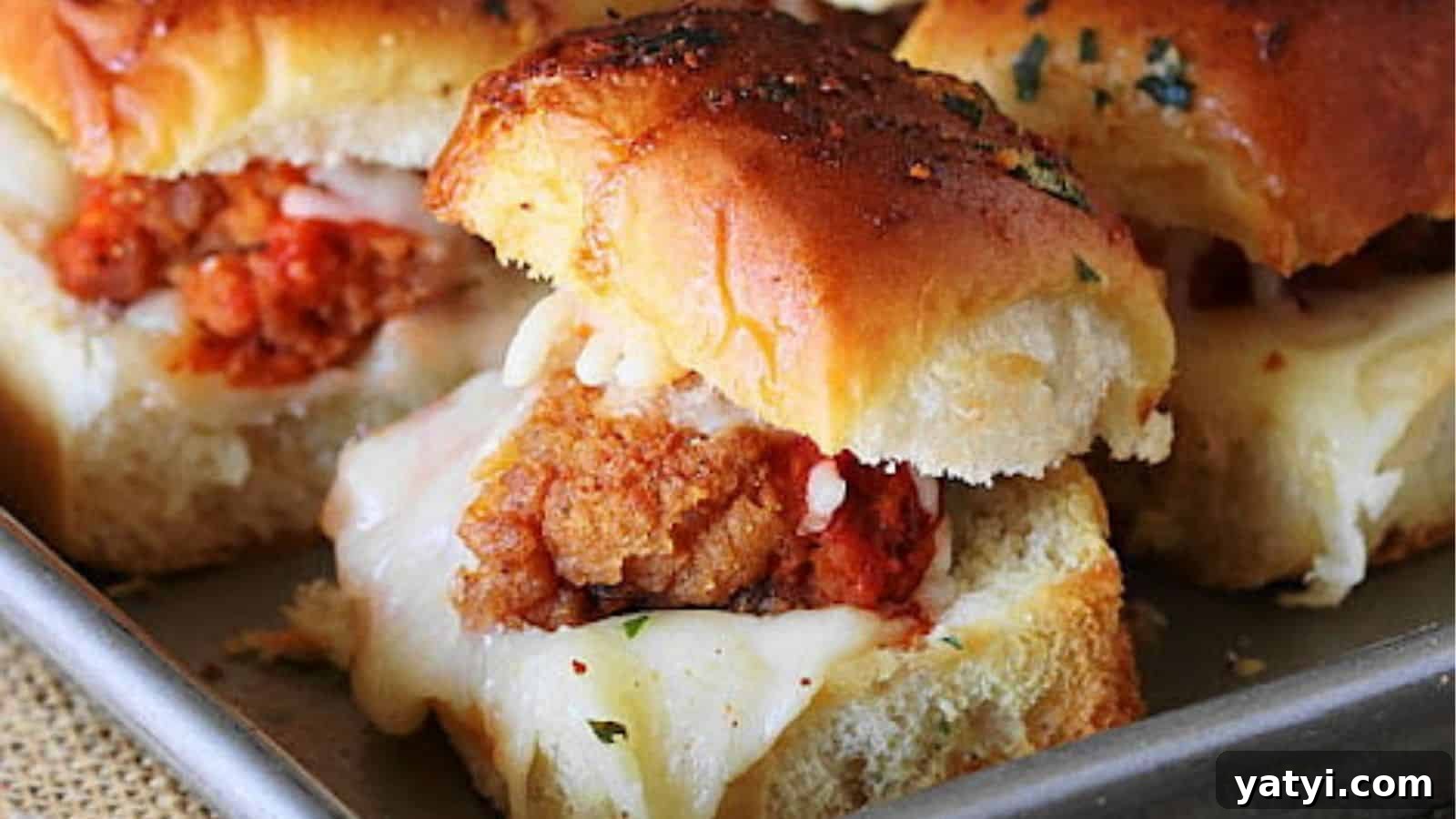 15 Quick Sandwich Recipes for Busy Weeknight Dinners 13 img 44054 12