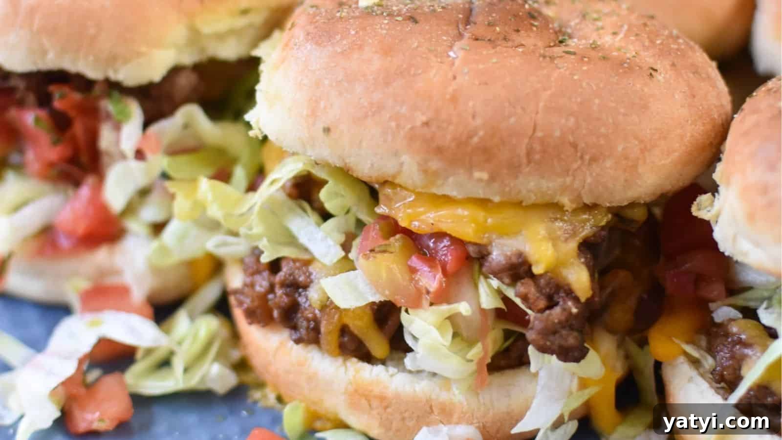 15 Quick Sandwich Recipes for Busy Weeknight Dinners 14 img 44054 13