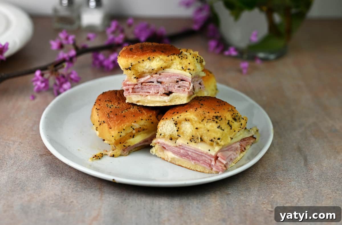 15 Quick Sandwich Recipes for Busy Weeknight Dinners 6 img 44054 5