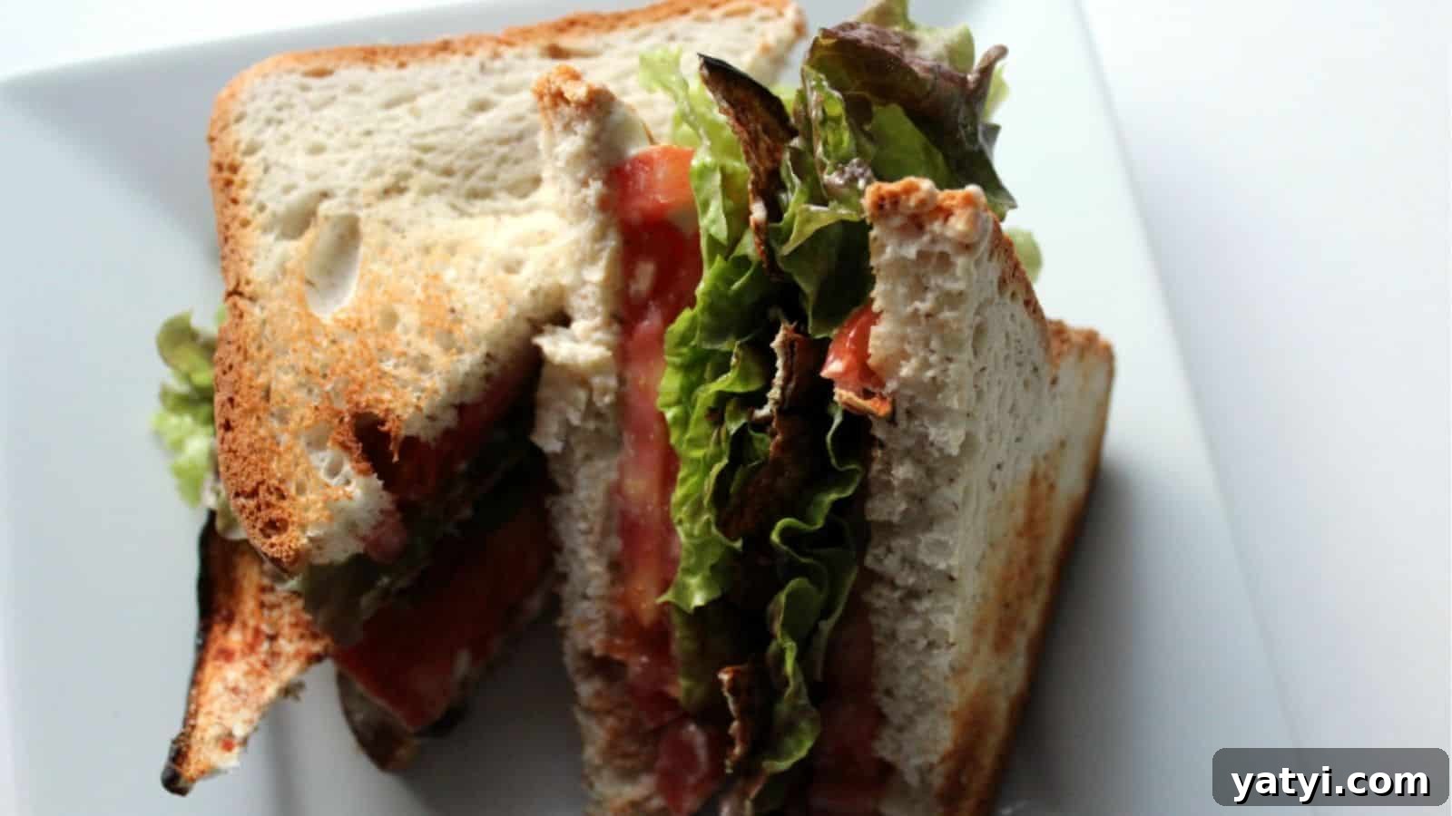 15 Quick Sandwich Recipes for Busy Weeknight Dinners 8 img 44054 7