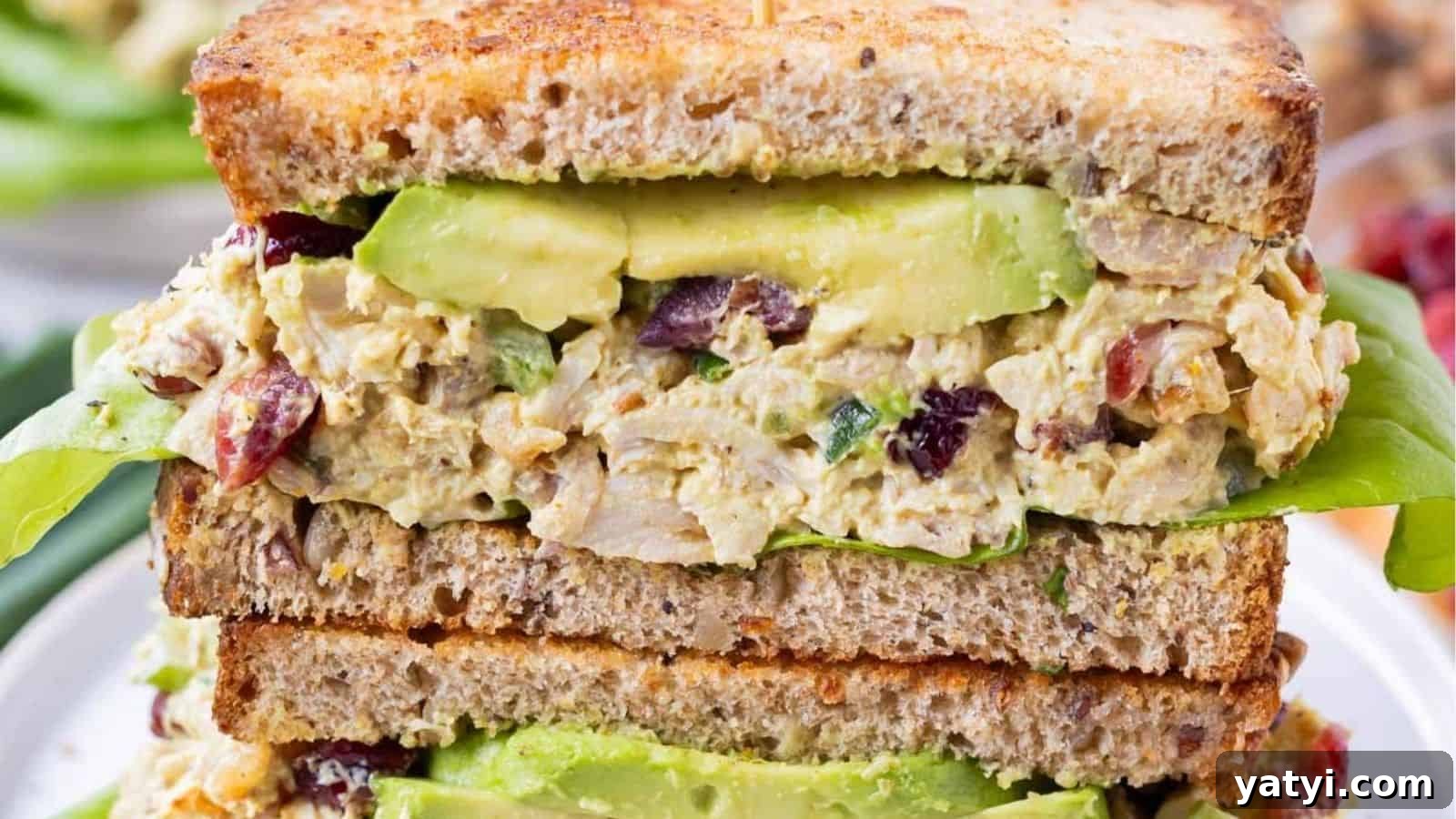 15 Quick Sandwich Recipes for Busy Weeknight Dinners 9 img 44054 8