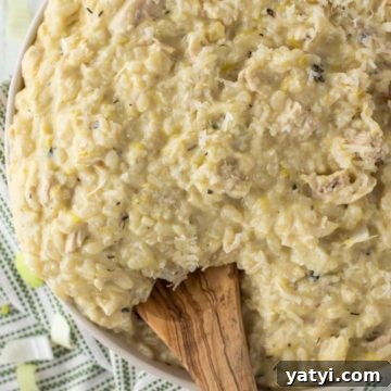 Wood spoon dipped in bowl of chicken and leek risotto.