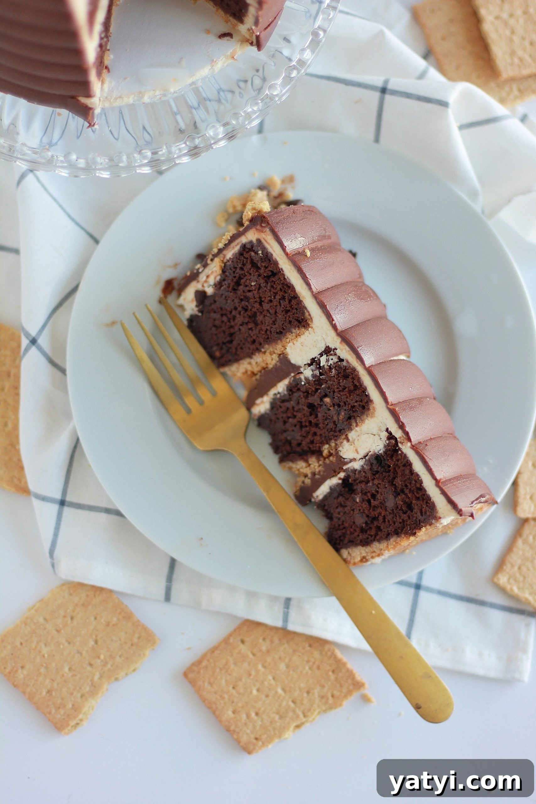 Decadent Chocolate Graham Cracker Cake Recipe for Any Occasion 11 img 4429 10 scaled