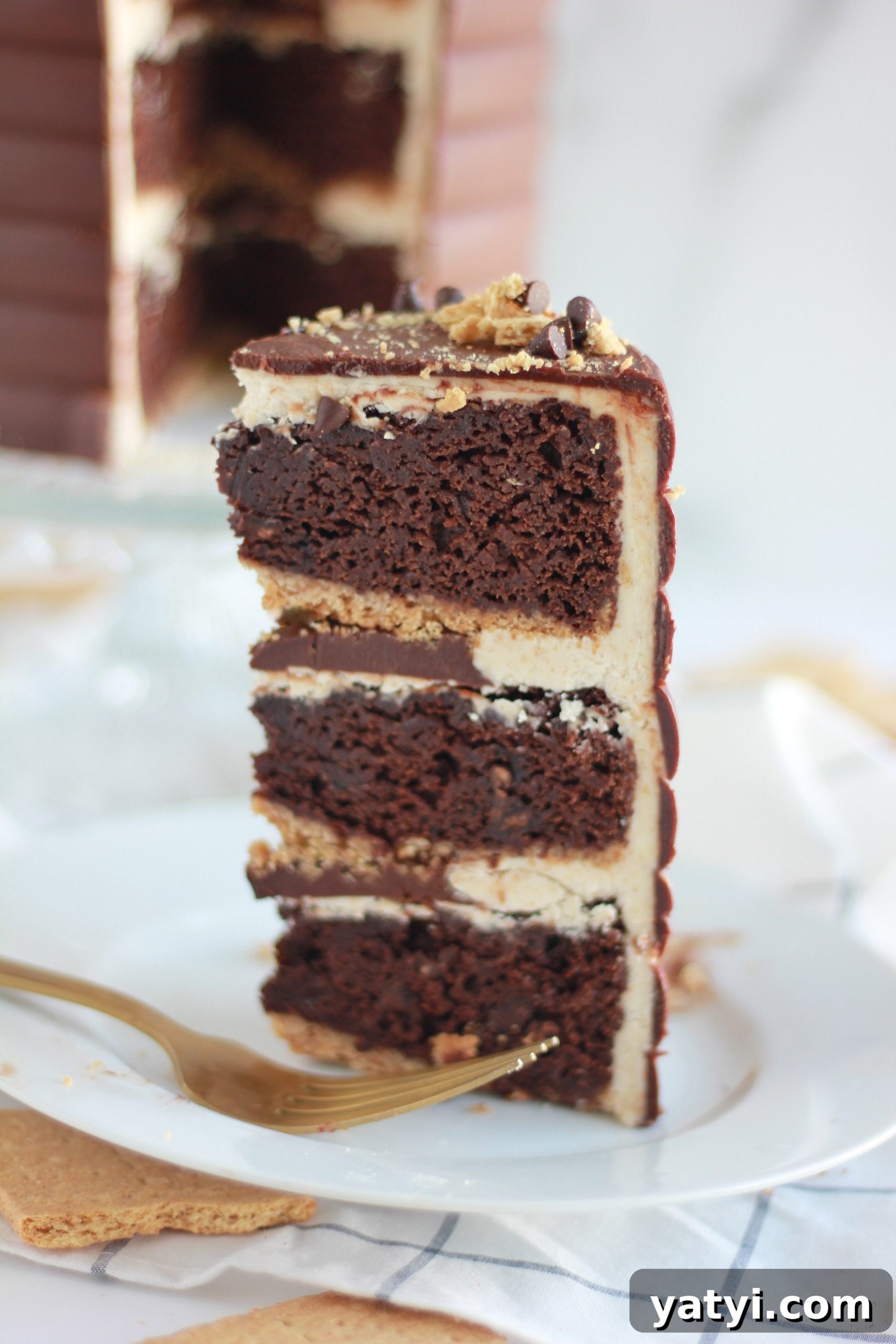 Decadent Chocolate Graham Cracker Cake Recipe for Any Occasion 4 img 4429 3 scaled