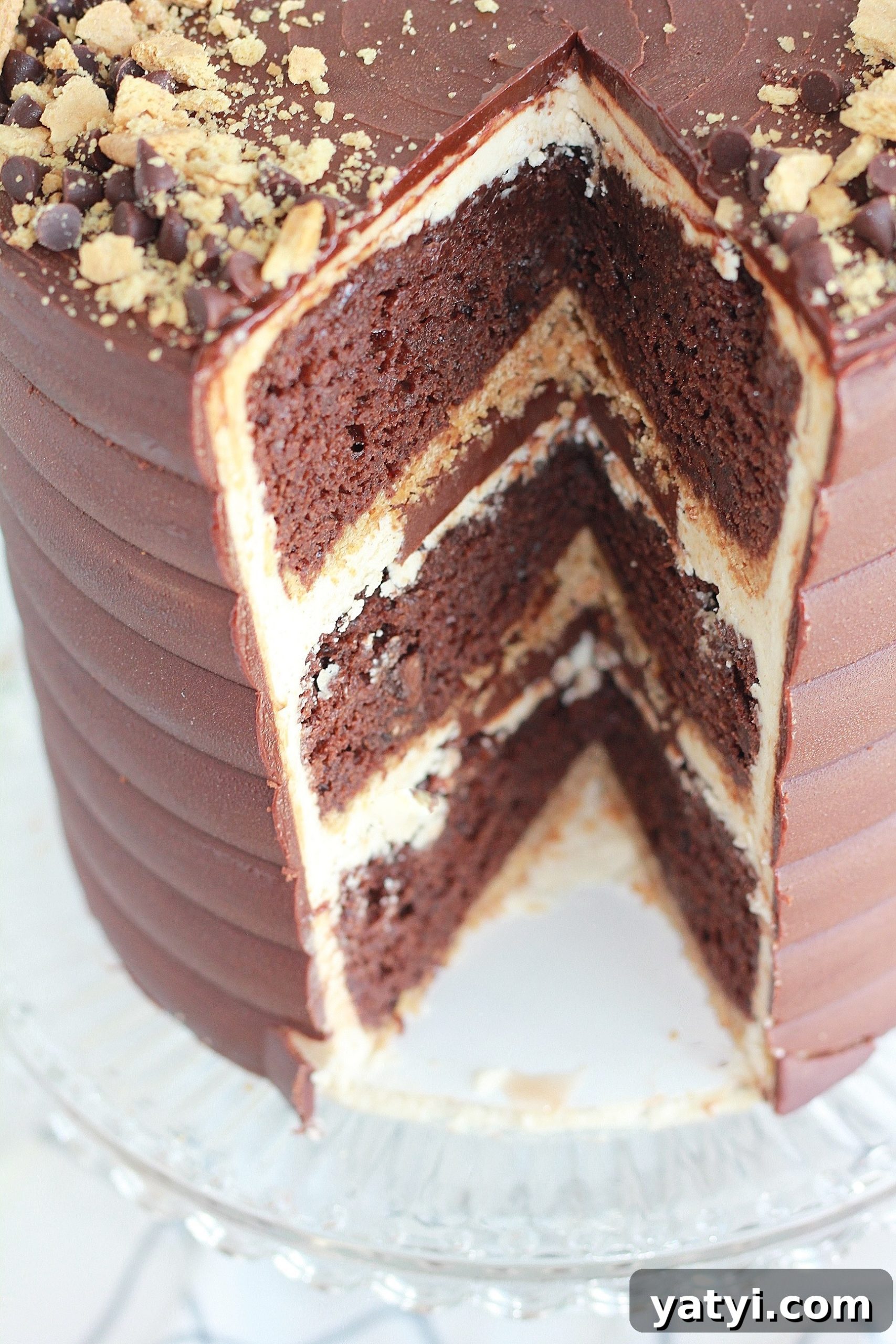 Decadent Chocolate Graham Cracker Cake Recipe for Any Occasion 5 img 4429 4 scaled