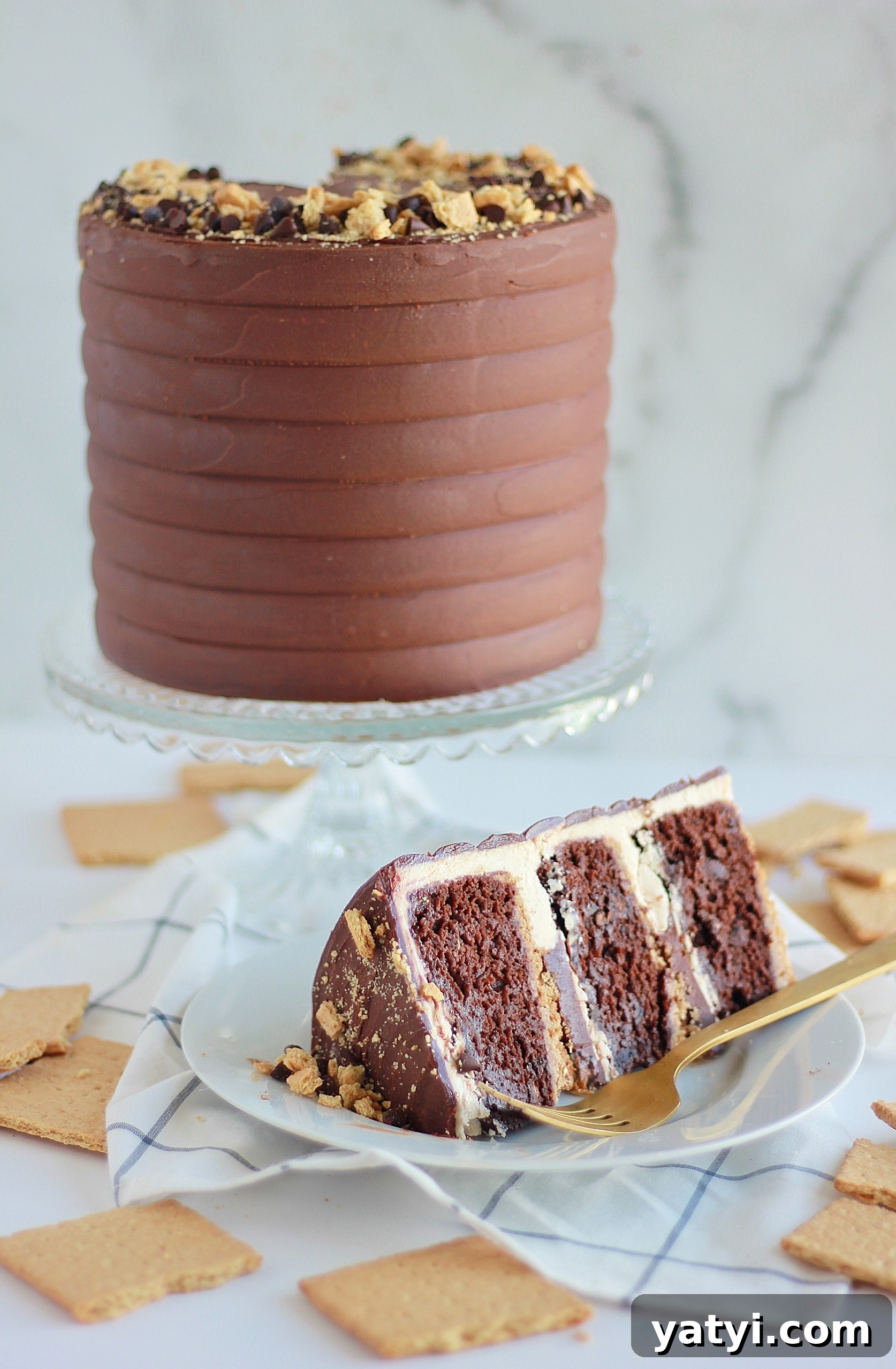Decadent Chocolate Graham Cracker Cake Recipe for Any Occasion 6 img 4429 5