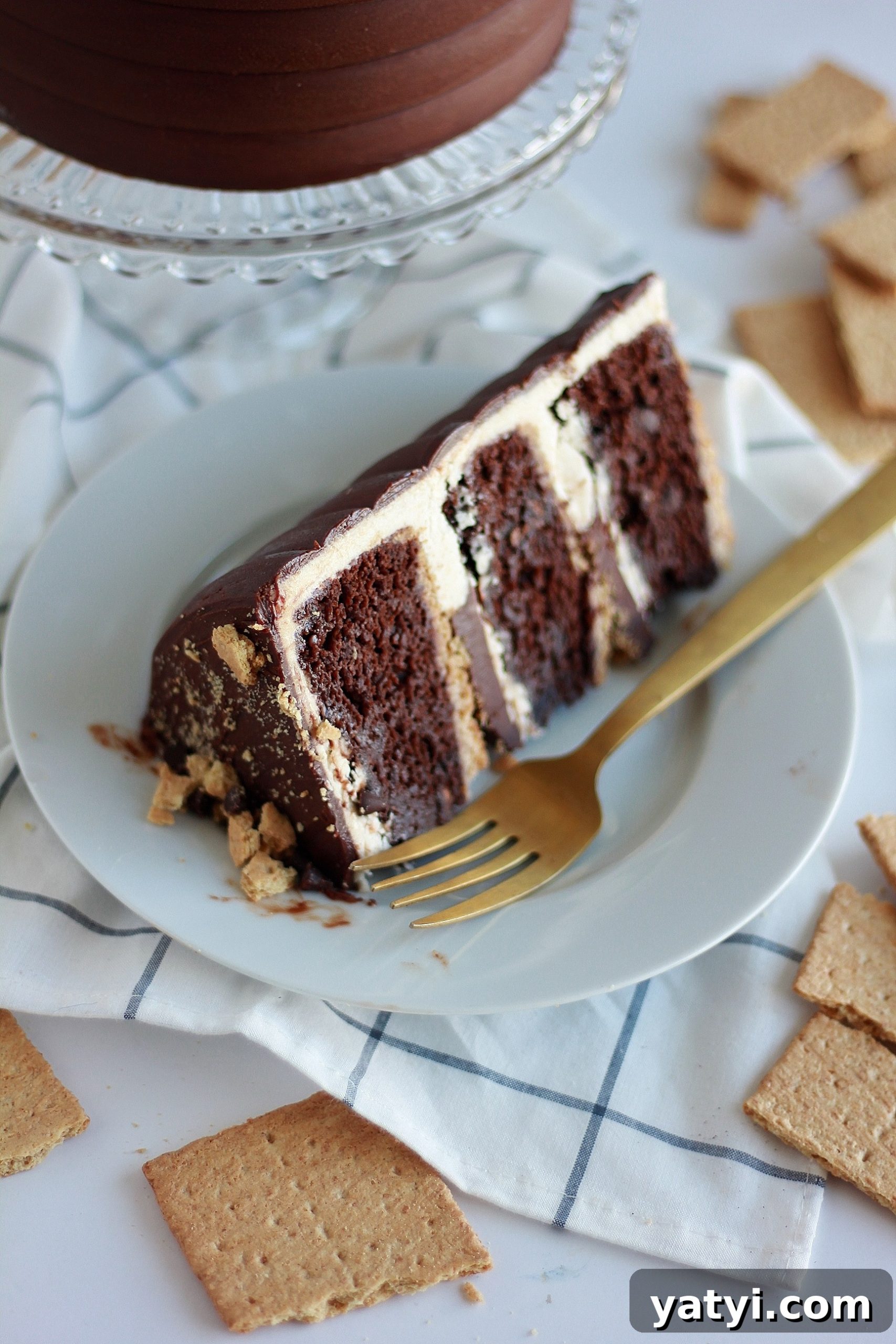 Decadent Chocolate Graham Cracker Cake Recipe for Any Occasion 7 img 4429 6 scaled