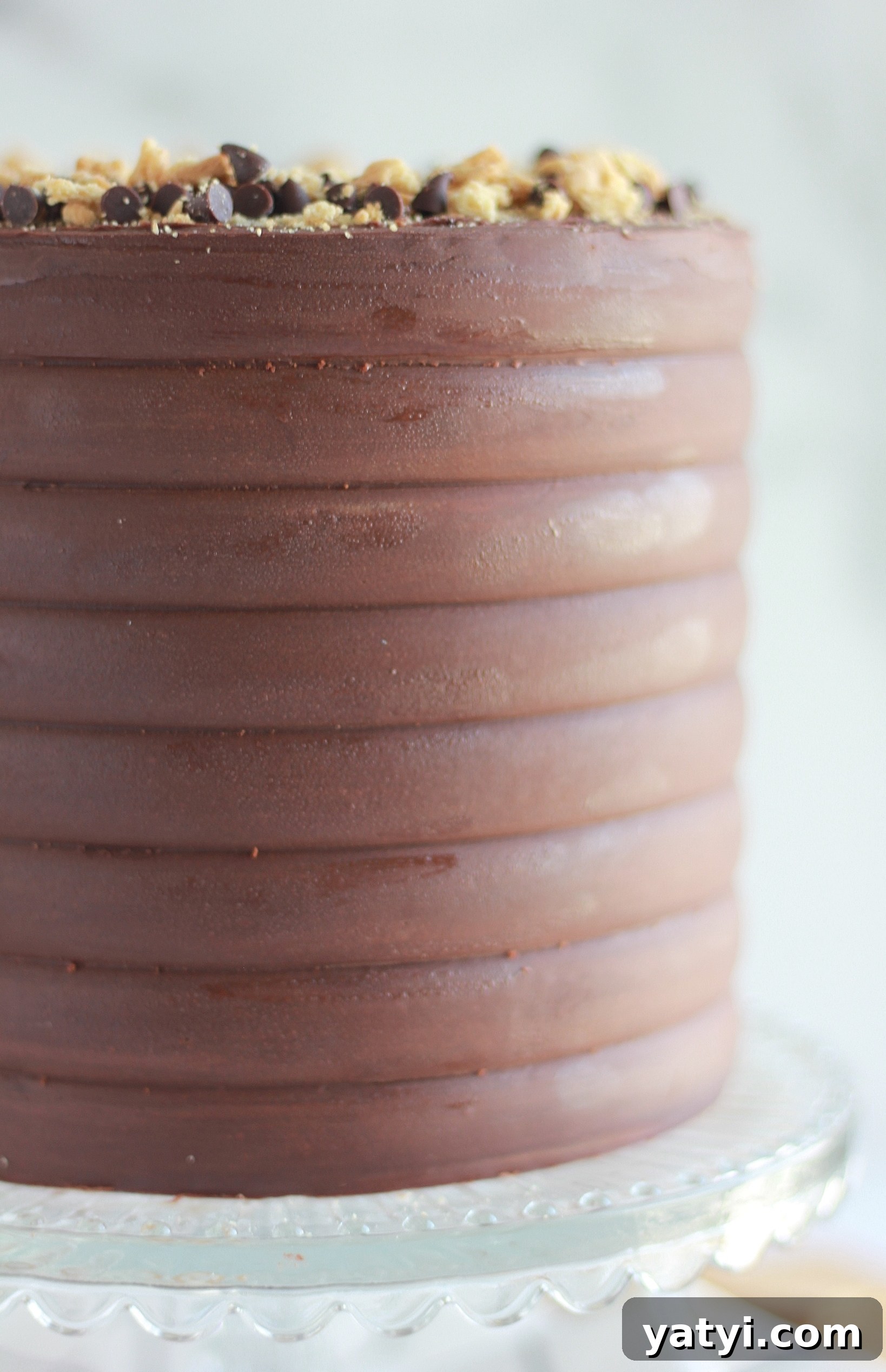 Decadent Chocolate Graham Cracker Cake Recipe for Any Occasion 8 img 4429 7