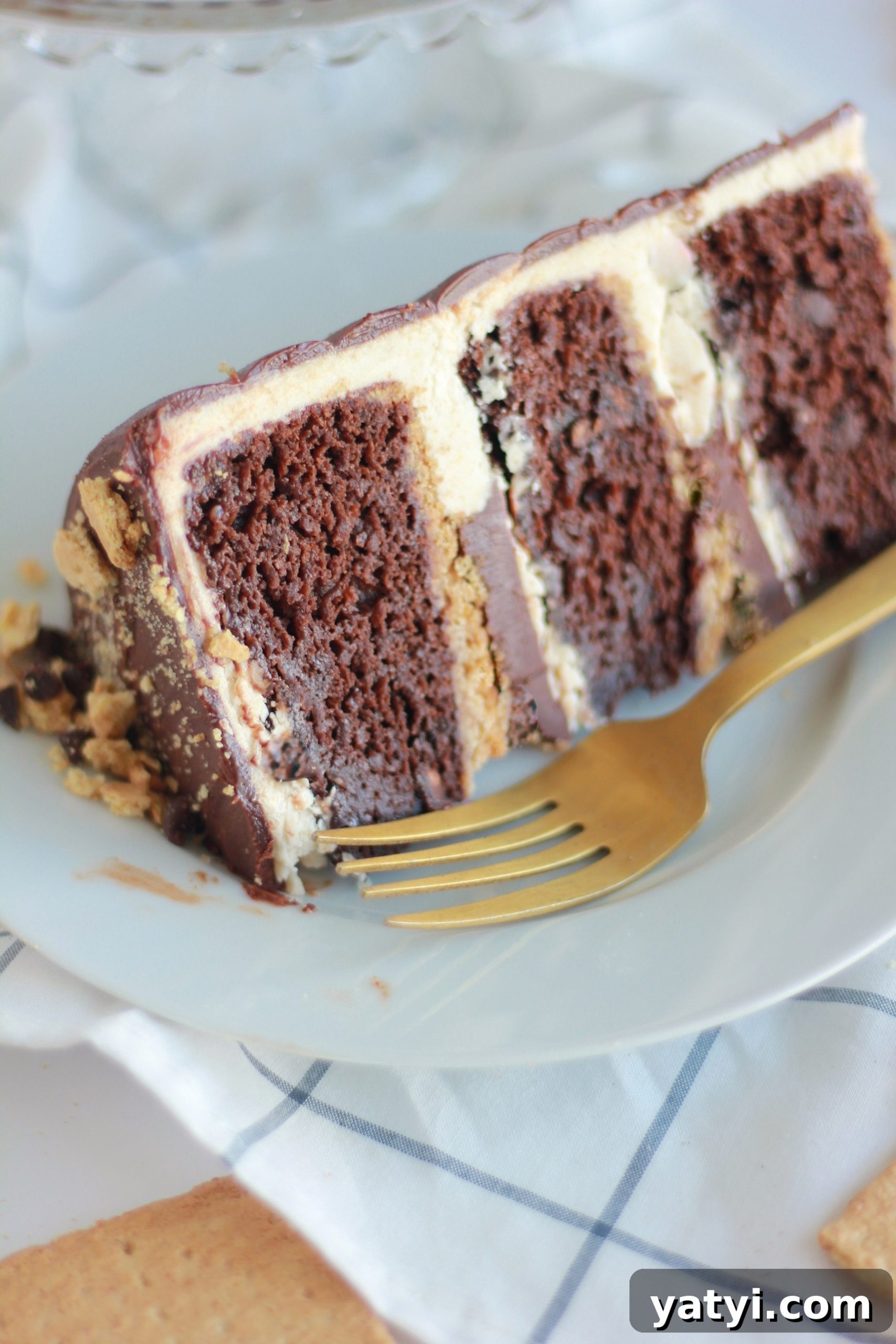 Decadent Chocolate Graham Cracker Cake Recipe for Any Occasion 9 img 4429 8 scaled