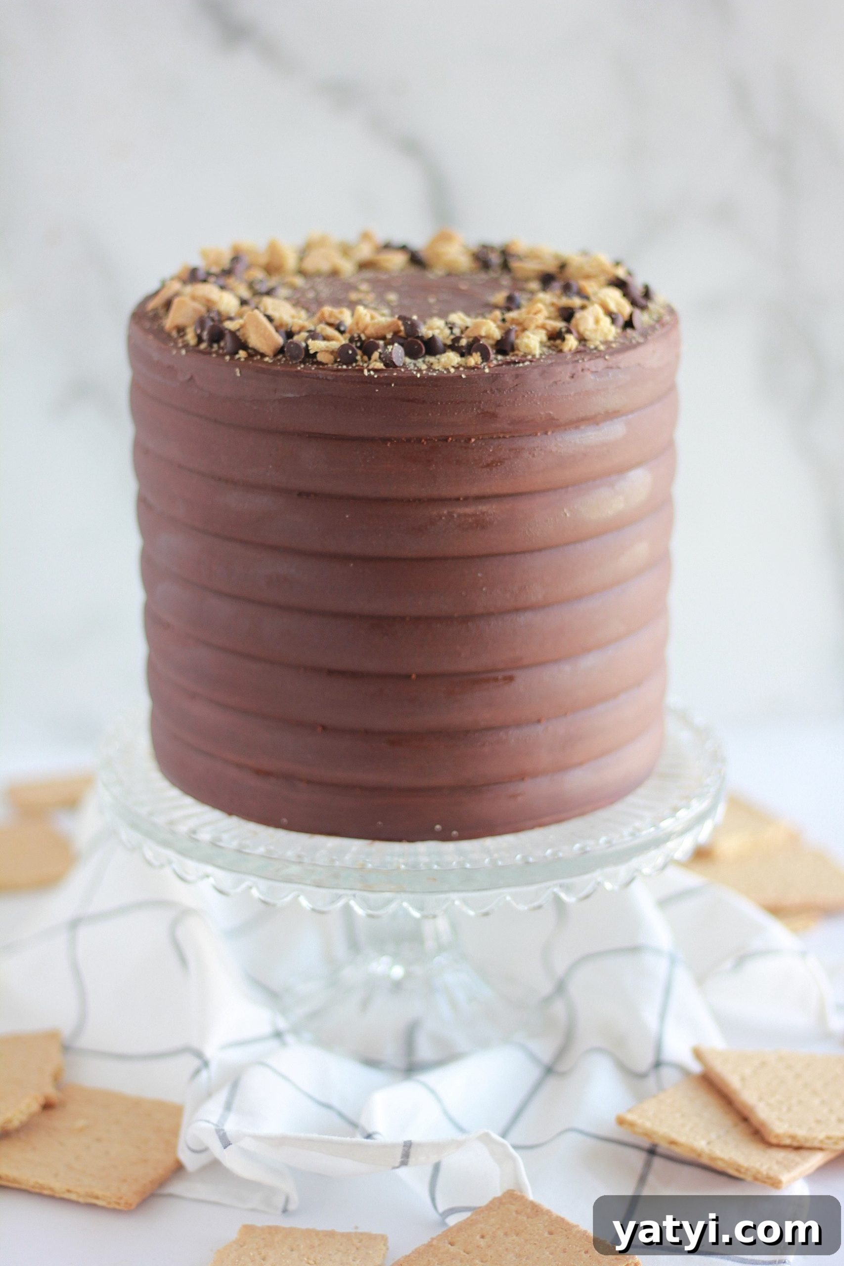 Decadent Chocolate Graham Cracker Cake Recipe for Any Occasion 10 img 4429 9 scaled