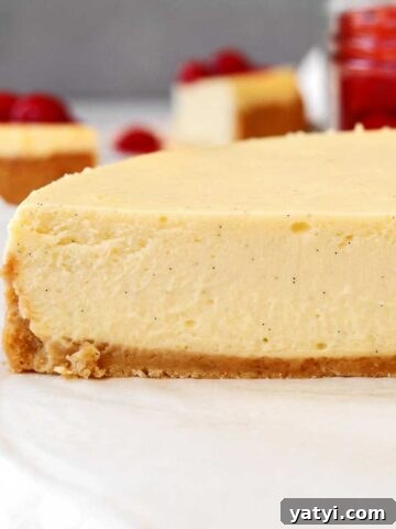 new york style cheesecake