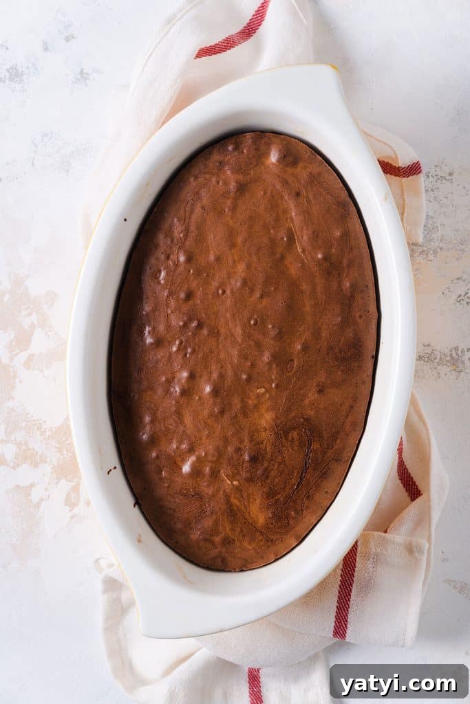Decadent Chocolate Brownie Pudding Recipe for Chocolate Lovers 13 Baked brownie pudding in an oval baking dish