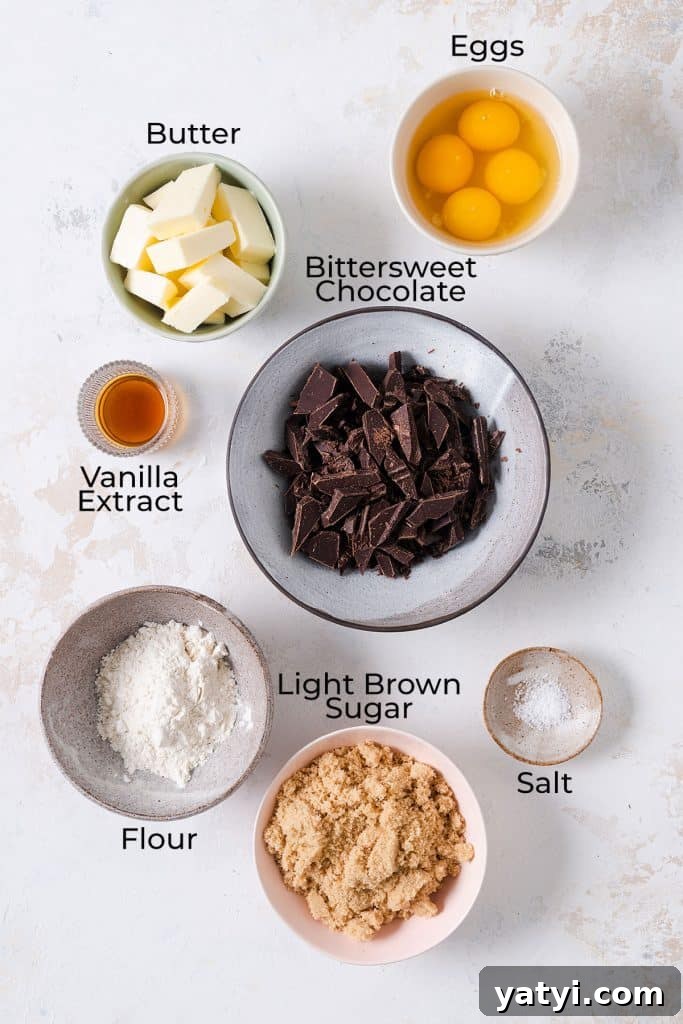 Decadent Chocolate Brownie Pudding Recipe for Chocolate Lovers 4 Ingredients to make chocolate brownie pudding.