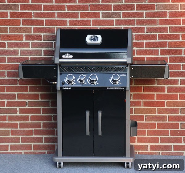 Napoleon Rogue Grill Review: Features, Performance, and Buying Guide 2 Napoleon Rogue Grill against brick wall