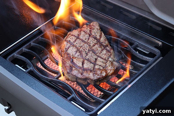 Napoleon Rogue Grill Review: Features, Performance, and Buying Guide 5 Napoleon Rogue Grill side burner