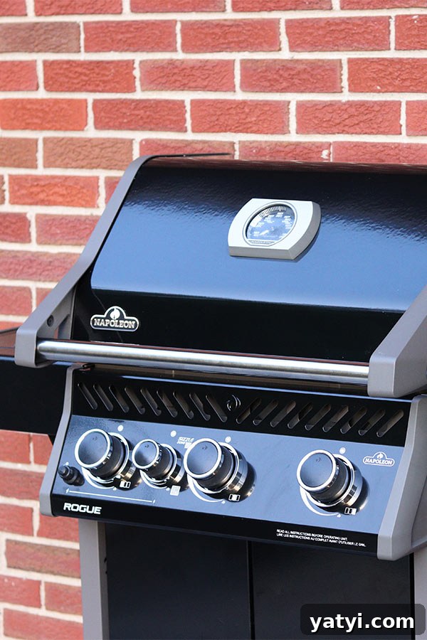 Napoleon Rogue Grill Review: Features, Performance, and Buying Guide 7 Napoleon Rogue Grill front view