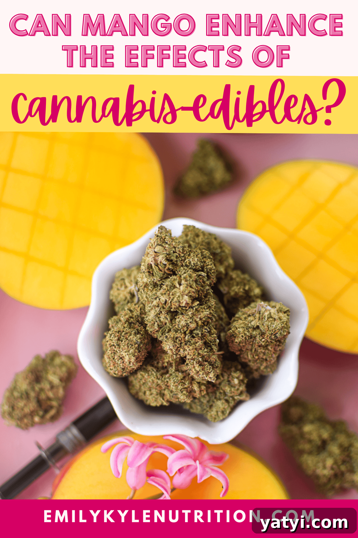 Do Mangoes Boost the Effects of Cannabis Edibles? 2 A picture of a mango with text that says can mango enhance the effect of cannabis edibles.