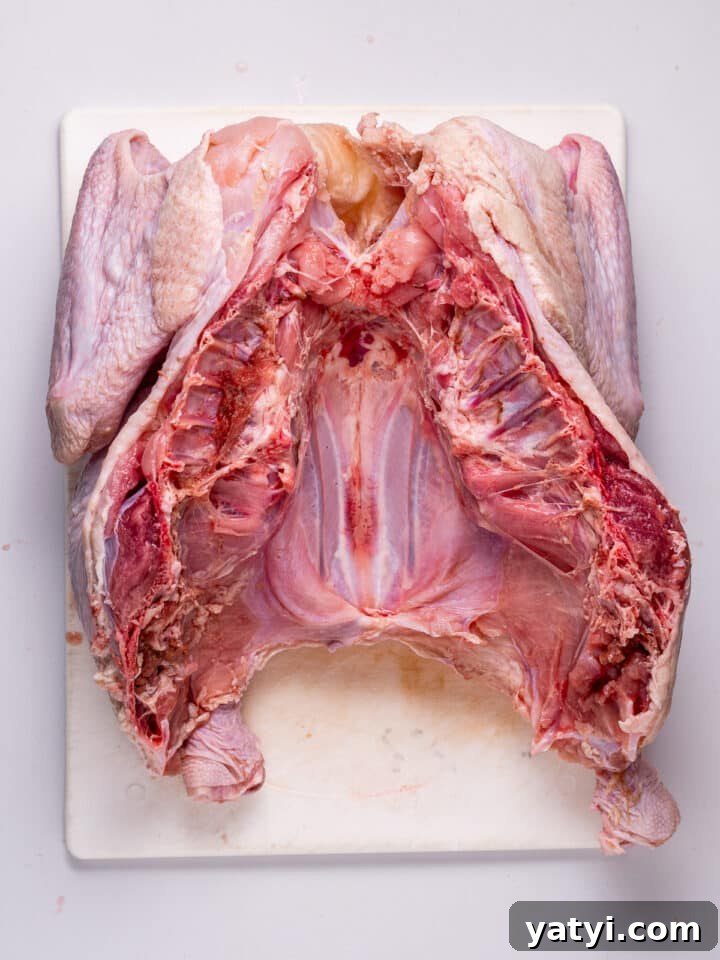 Dry-Brined Spatchcock Turkey: Complete Guide to Spatchcocking a Turkey 10 splayed turkey, breast side down and backbone removed