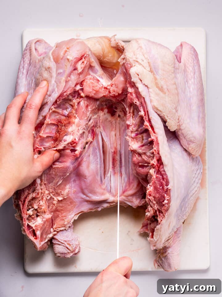 Dry-Brined Spatchcock Turkey: Complete Guide to Spatchcocking a Turkey 11 sharp knife scoring the breast bone of spatchcock turkey