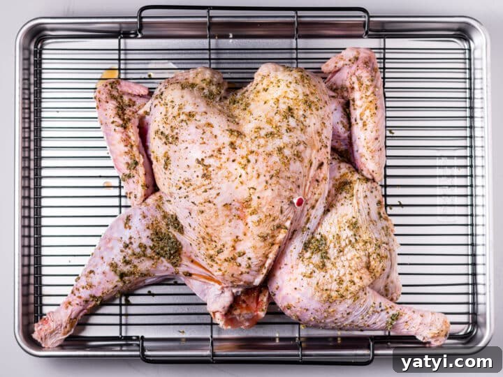 Dry-Brined Spatchcock Turkey: Complete Guide to Spatchcocking a Turkey 12 dry brined spatchcock turkey on rack in a large roasting pan
