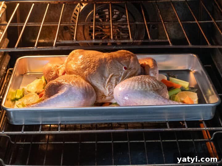 Dry-Brined Spatchcock Turkey: Complete Guide to Spatchcocking a Turkey 17 spatchcock turkey in a roasting pan in the oven.