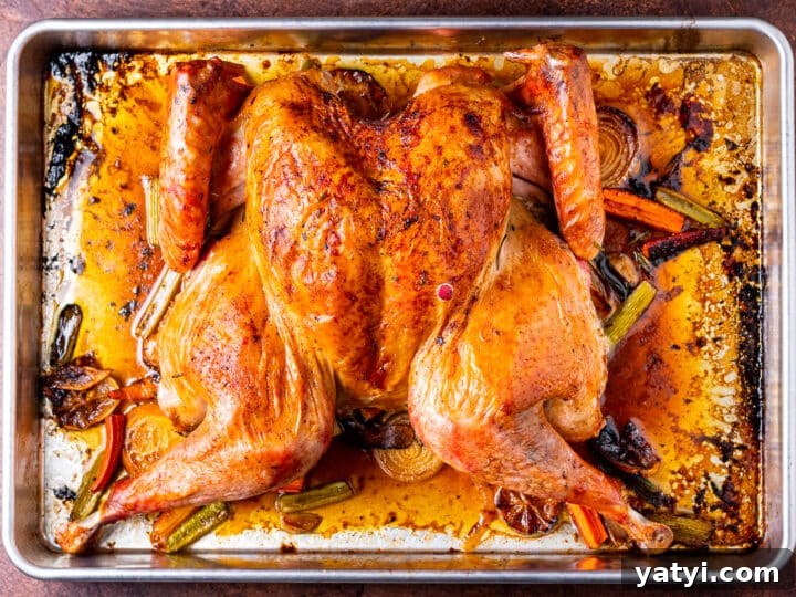 Dry-Brined Spatchcock Turkey: Complete Guide to Spatchcocking a Turkey 18 fully cooked spatchcock turkey sitting in its juices on large roasting pan