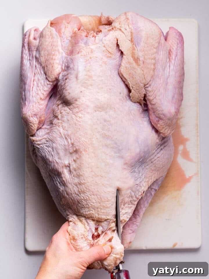 Dry-Brined Spatchcock Turkey: Complete Guide to Spatchcocking a Turkey 7 using poultry shears to begin to remove backbone