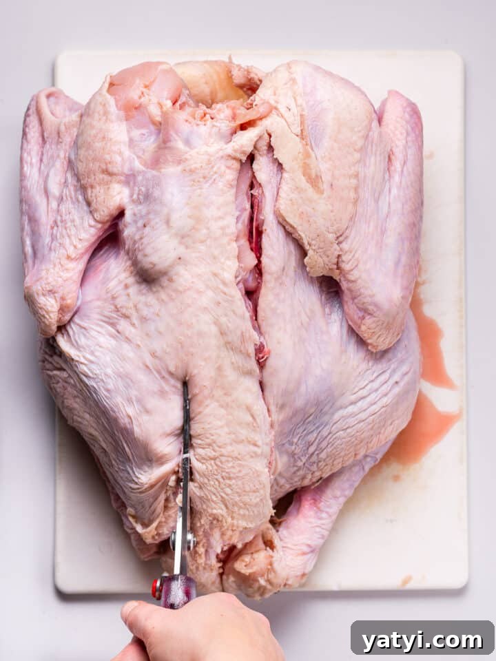 Dry-Brined Spatchcock Turkey: Complete Guide to Spatchcocking a Turkey 8 poultry shears cutting along other side of backbone