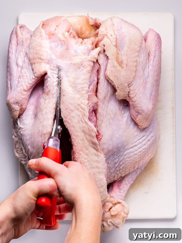 Dry-Brined Spatchcock Turkey: Complete Guide to Spatchcocking a Turkey 9 shears making progress towards removing entire backbone
