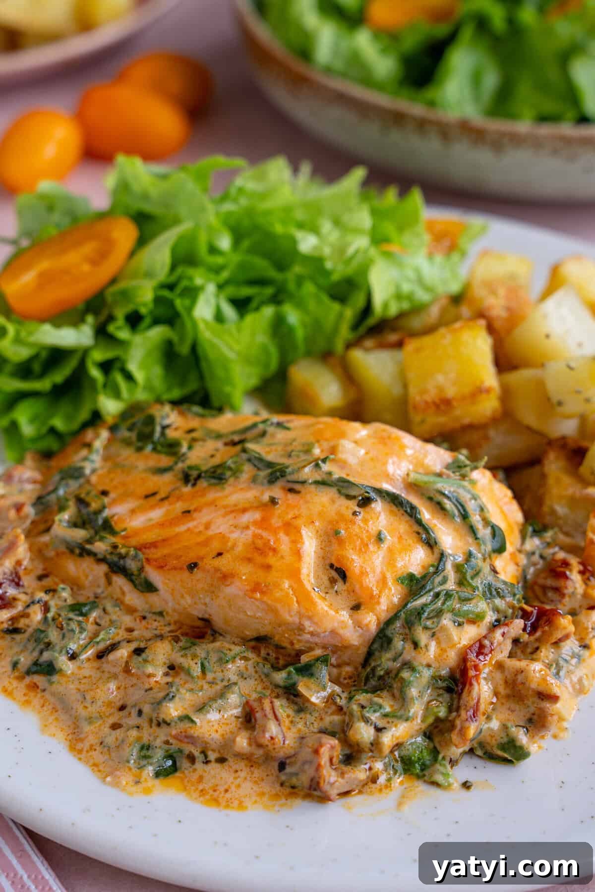 Creamy Tuscan Salmon with Garlic and Sun-Dried Tomatoes 4 A plate of Tuscan salmon with parmentier potatoes and salad.