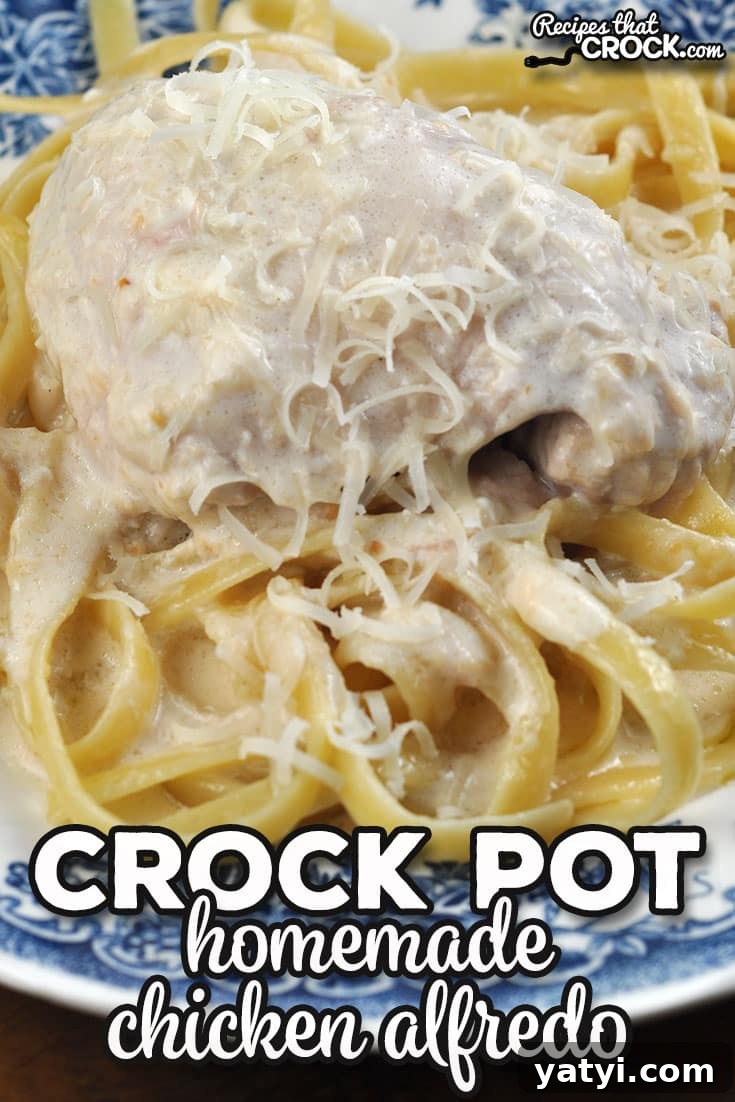 Slow Cooker Chicken Alfredo Recipe: Creamy Crock Pot Pasta 4 This Homemade Crock Pot Chicken Alfredo is an easy way to make your own chicken alfredo from scratch. It is simple to make and delicious!