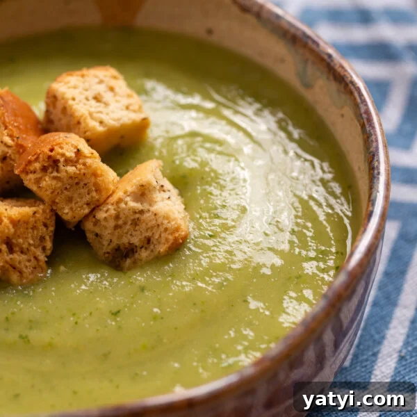 Zucchini Ribbon Salad with Whipped Lemon Ricotta Dressing 12 A close up image of zucchini soup in a bowl with croutons on top.