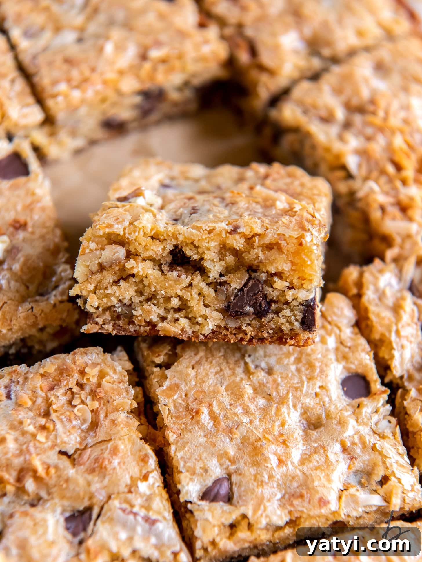 Coconut Congo Bars: Chewy Chocolate Chip Coconut Squares 6 congo bar cut out and leaning on more bars.