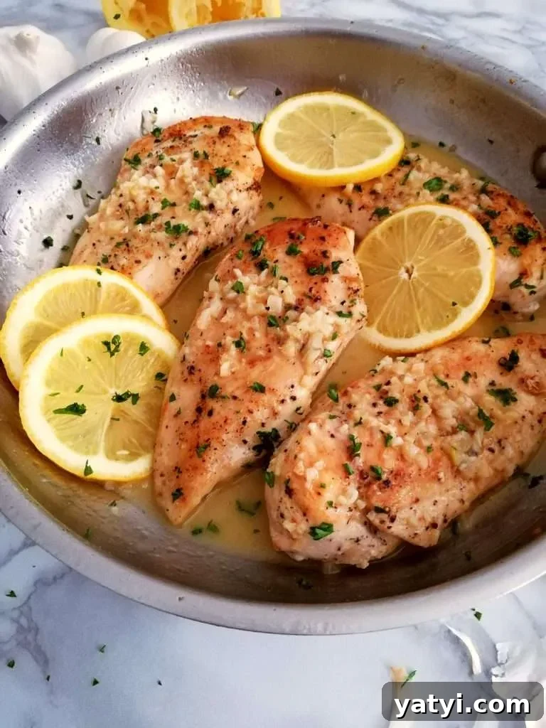 Chicken in Creamy White Wine Sauce: Simple Weeknight Dinner 9 chicken with white wine sauce side view