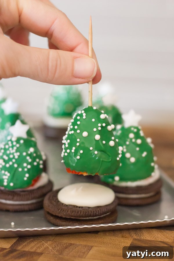 Chocolate-Covered Strawberry Christmas Tree Treats 5 A candy coated strawberry on a toothpick being placed on an Oreo covered with icing, with completed Covered Strawberry Christmas Trees in the background.
