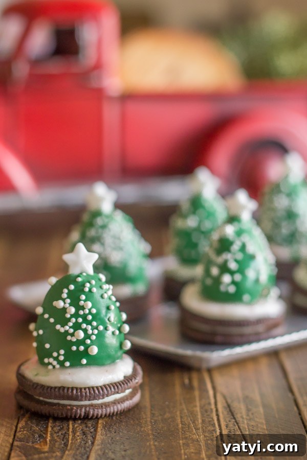 Chocolate-Covered Strawberry Christmas Tree Treats 6 Chocolate Covered Strawberry Christmas Tree in front of a serving tray of more trees.
