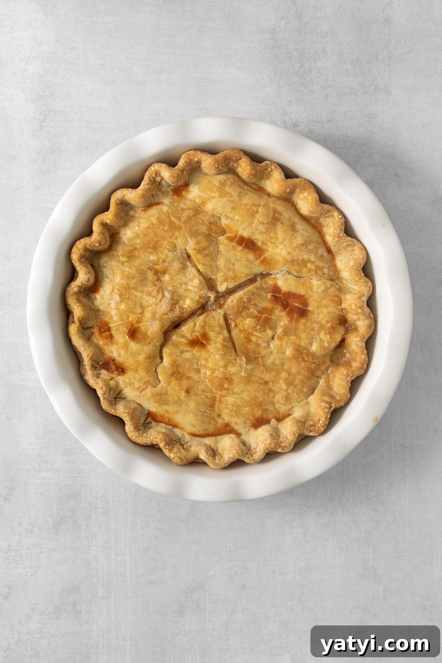 Classic Peach Pie Recipe Using Canned Peaches 11 baked peach pie with canned peaches in a pie pan