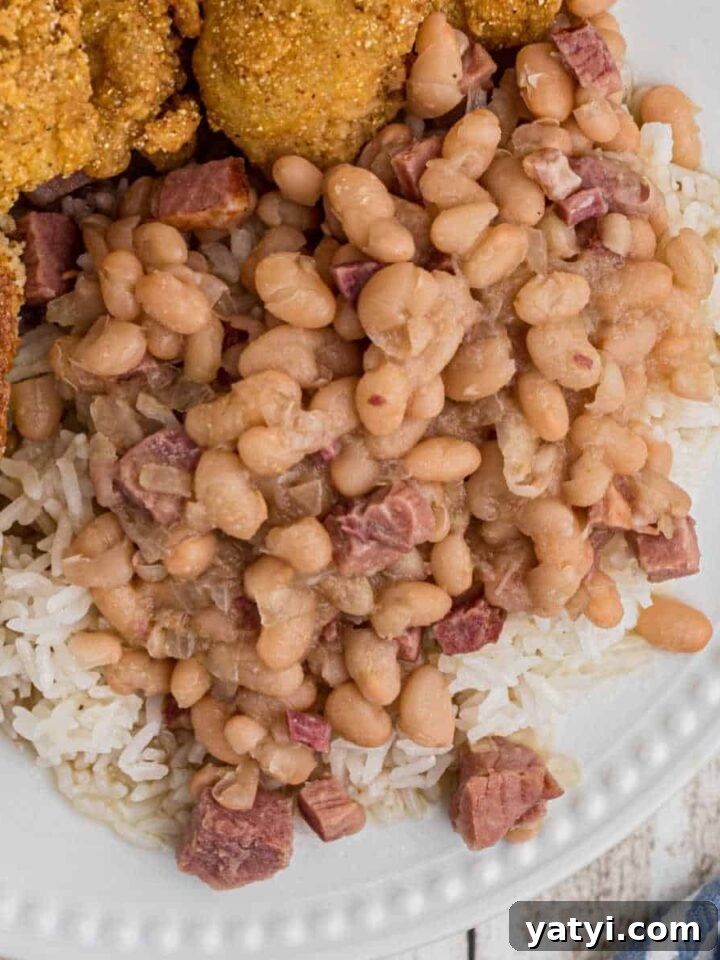 close up of white beans over rice on a plate with catfish peeking in