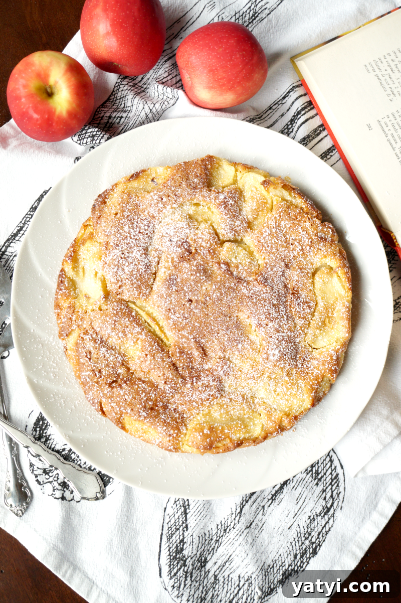 Classic Italian Apple Cake Recipe — Moist Torta di Mele Tutorial 2 italian apple cake | The Baking Fairy
