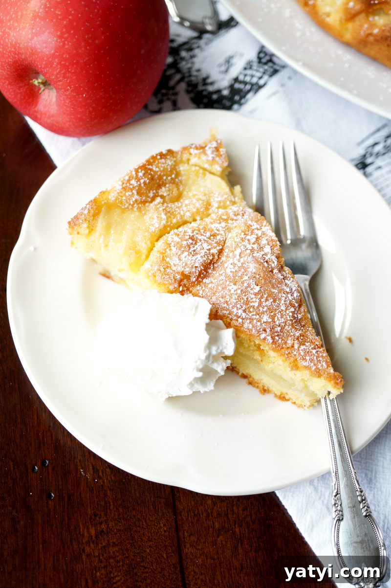 Classic Italian Apple Cake Recipe — Moist Torta di Mele Tutorial 3 italian apple cake | The Baking Fairy