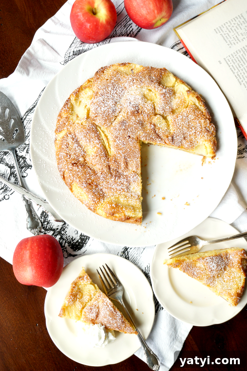 Classic Italian Apple Cake Recipe — Moist Torta di Mele Tutorial 4 italian apple cake | The Baking Fairy