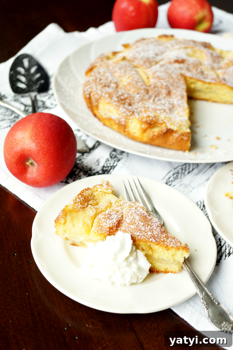 Classic Italian Apple Cake Recipe — Moist Torta di Mele Tutorial 5 italian apple cake | The Baking Fairy