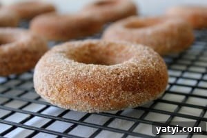 Gluten-Free Baked Apple Cider Donuts — Light & Cinnamon-Spiced 2 gluten free apple cinnamon doughnuts