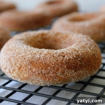Gluten-Free Baked Apple Cider Donuts — Light & Cinnamon-Spiced 4 gluten free apple cinnamon doughnuts