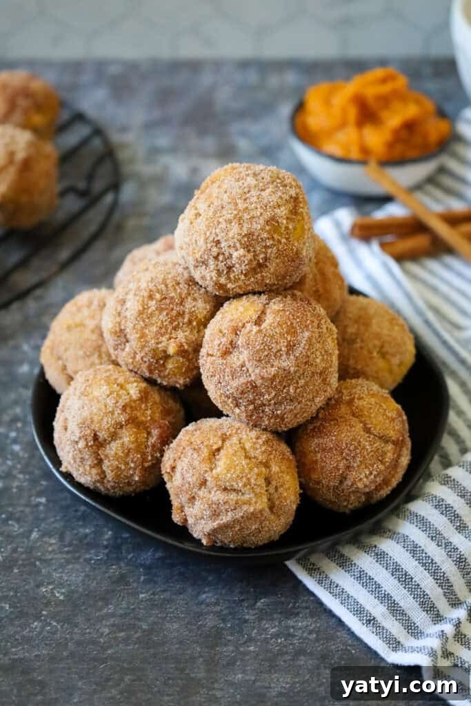 Gluten-Free Baked Apple Cider Donuts — Light & Cinnamon-Spiced 6 img 5633 5