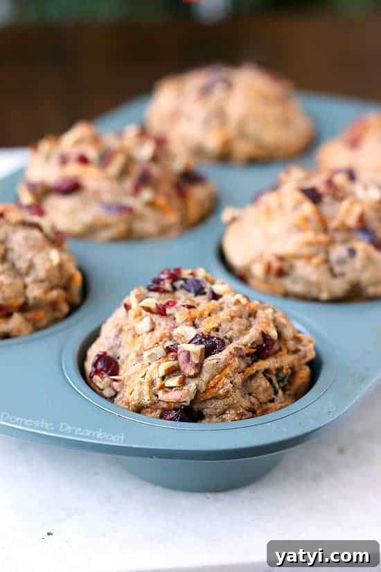 Sweet Potato Cranberry Muffins with Pecans — Autumn Brunch Recipe 2 Cranberry muffins with sweet potato and pecans in a muffin tin