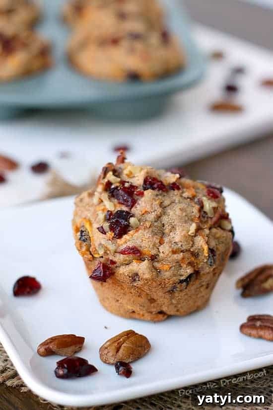 Sweet Potato Cranberry Muffins with Pecans — Autumn Brunch Recipe 3 Closeup photo of Cranberry Muffin with sweet potato and pecans on a plate